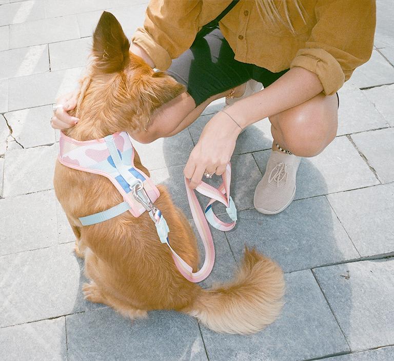 ZEEDOG COLUMBIA PECHERA AIR MESH2