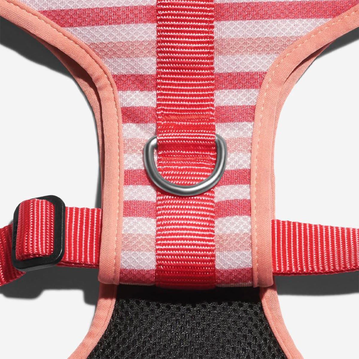 ZEEDOG PEPPERMINT PECHERA AIR MESH4