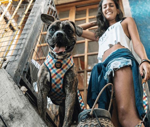 ZEEDOG PHANTOM PECHERA AIR MESH2