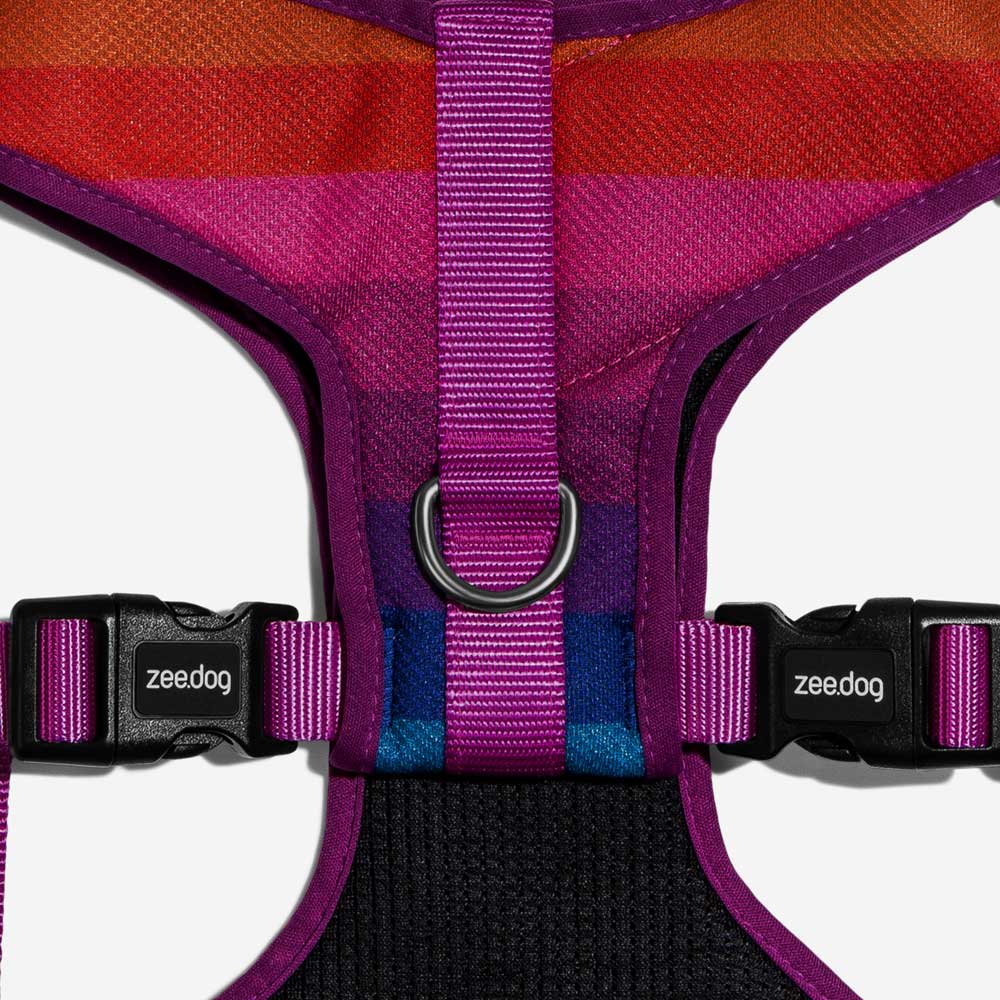 ZEEDOG PRISMA PECHERA AIR MESH5
