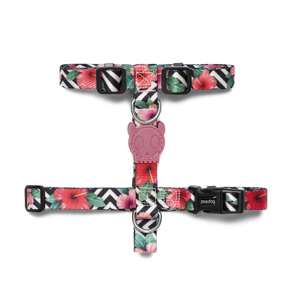 ZEEDOG ARNES MAHALO1