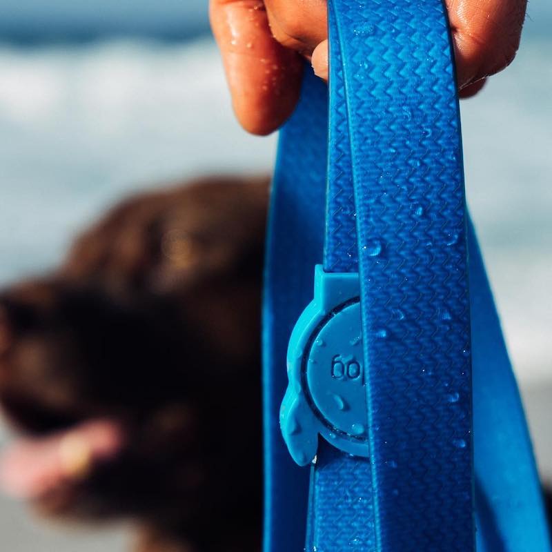 ZEEDOG ARNES NEOPRO BLUE2