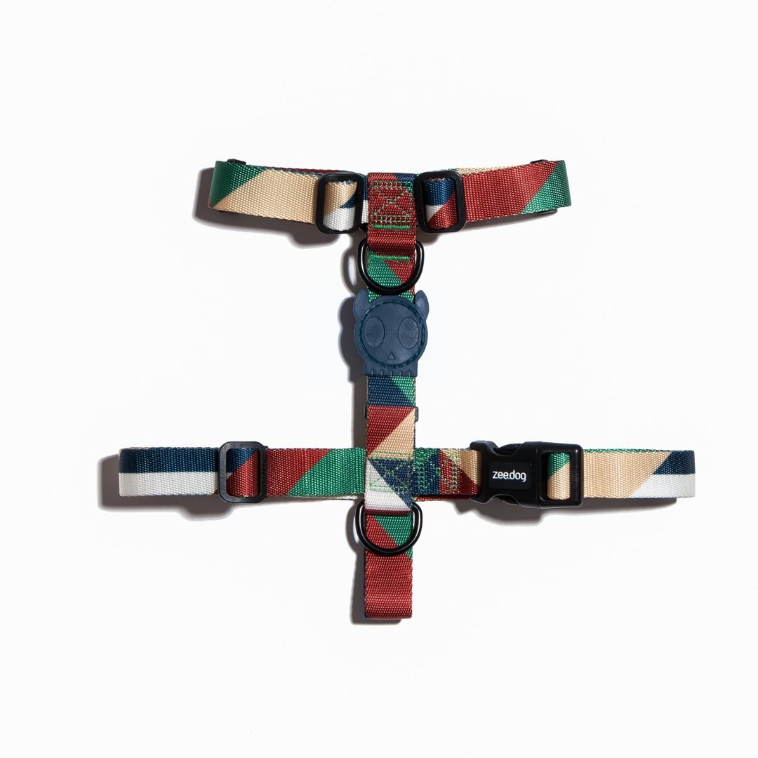ZEEDOG ARNES PACCO1