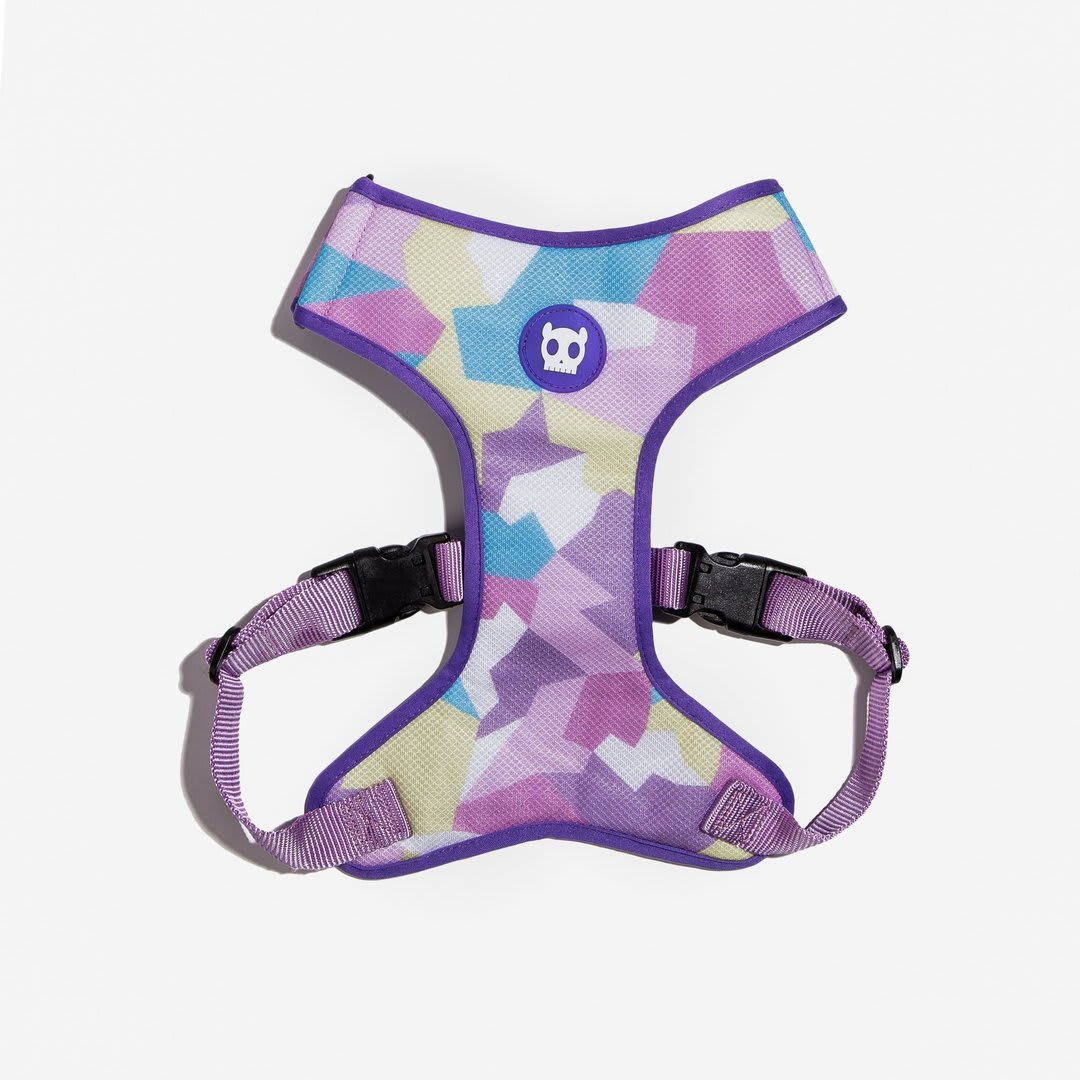 ZEEDOG CANDY PECHERA AIR MESH1