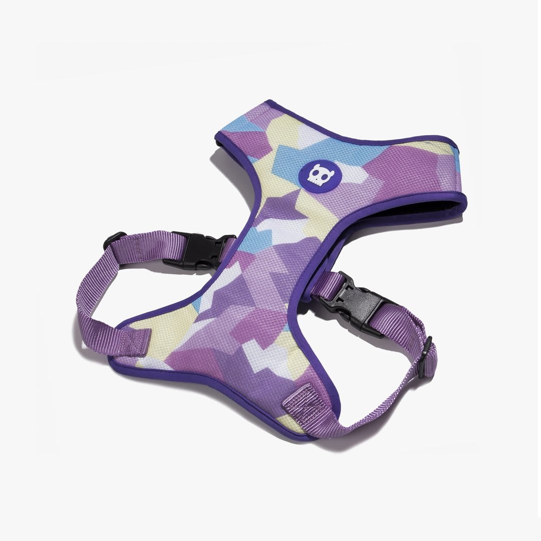ZEEDOG CANDY PECHERA AIR MESH2