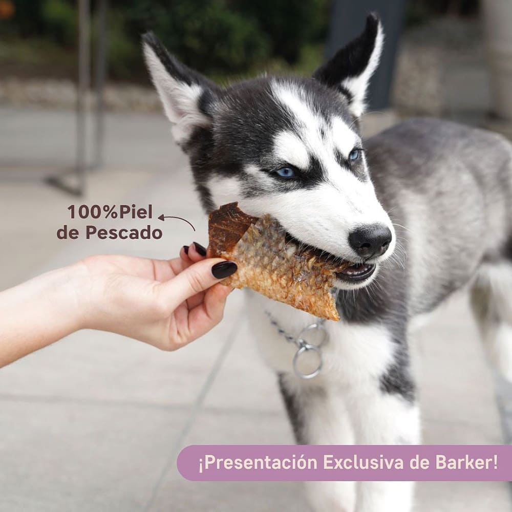 BARKER PIEL DE PESCADO1