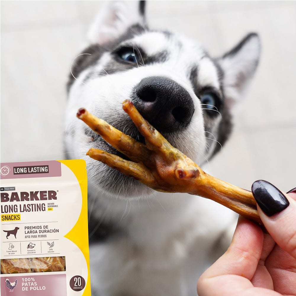 BARKER PATAS DE POLLO3