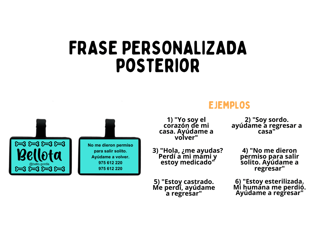 PLACA DE IDENTIFICACIÓN RECTÁNGULO - DOGGIE2