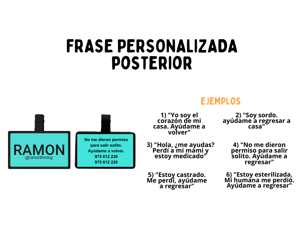 PLACA DE IDENTIFICACIÓN RECTÁNGULO - SIN DISEÑO2