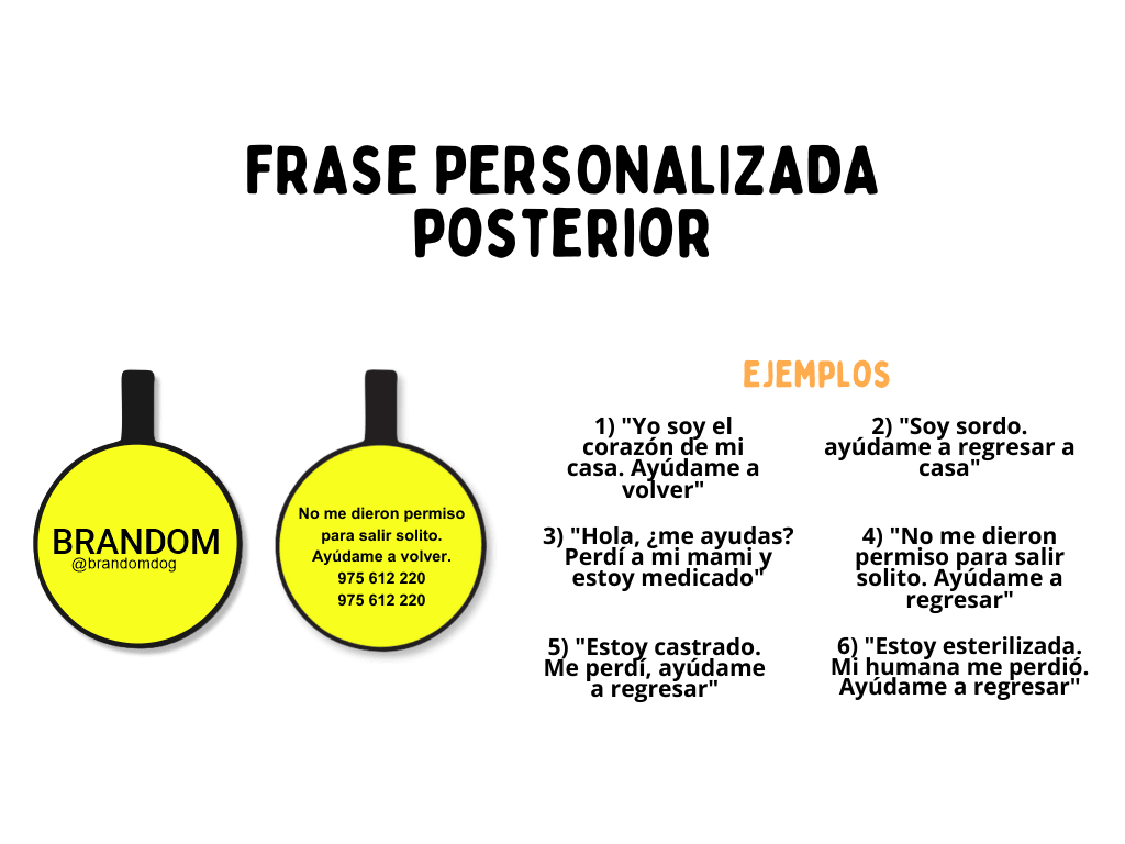 PLACA DE IDENTIFICACIÓN CIRCULO - SIN DISEÑO3