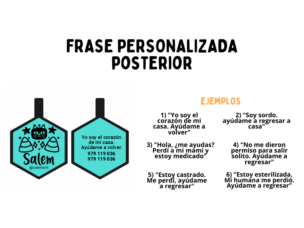 PLACA DE IDENTIFICACIÓN HEXÁGONO - CARL3