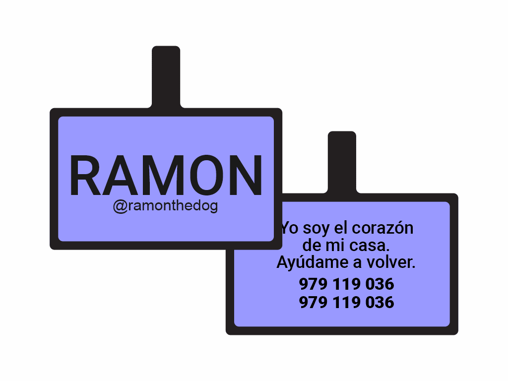 PLACA DE IDENTIFICACIÓN RECTÁNGULO - SIN DISEÑO12