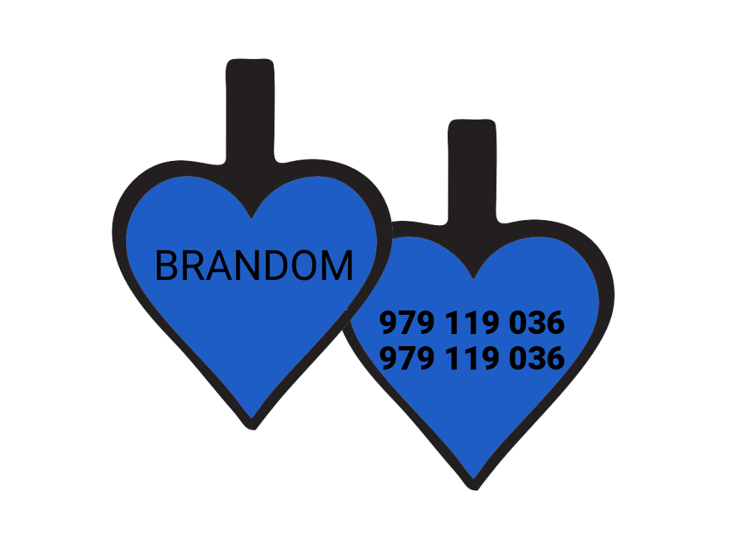 PLACA DE IDENTIFICACIÓN CORAZÓN - AZUL1