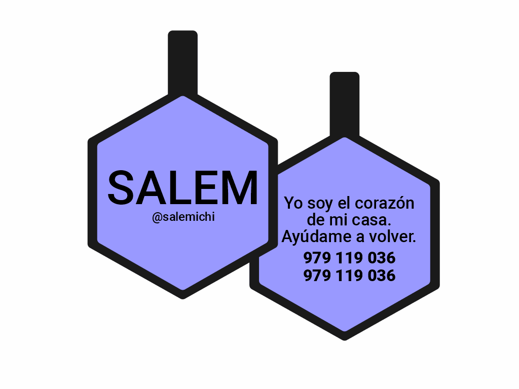 PLACA DE IDENTIFICACIÓN HEXÁGONO - SIN DISEÑO12