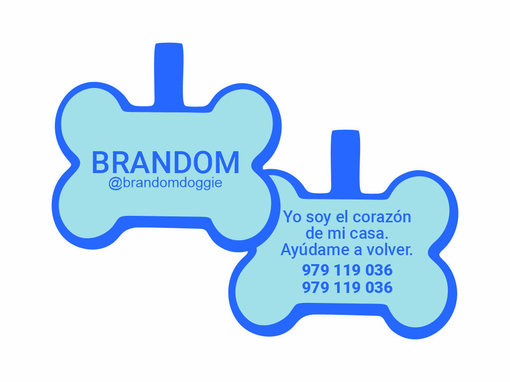 PLACA DE IDENTIFICACIÓN HUESO - SIN DISEÑO13