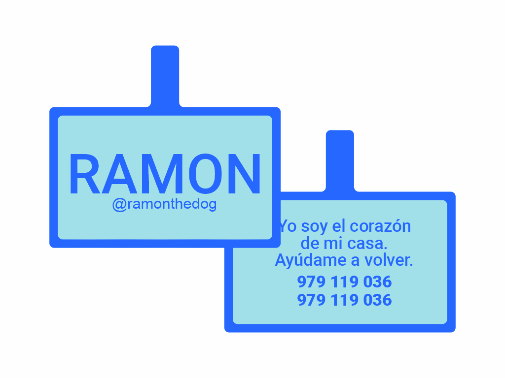 PLACA DE IDENTIFICACIÓN RECTÁNGULO - SIN DISEÑO13