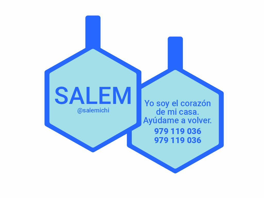 PLACA DE IDENTIFICACIÓN HEXÁGONO - SIN DISEÑO13