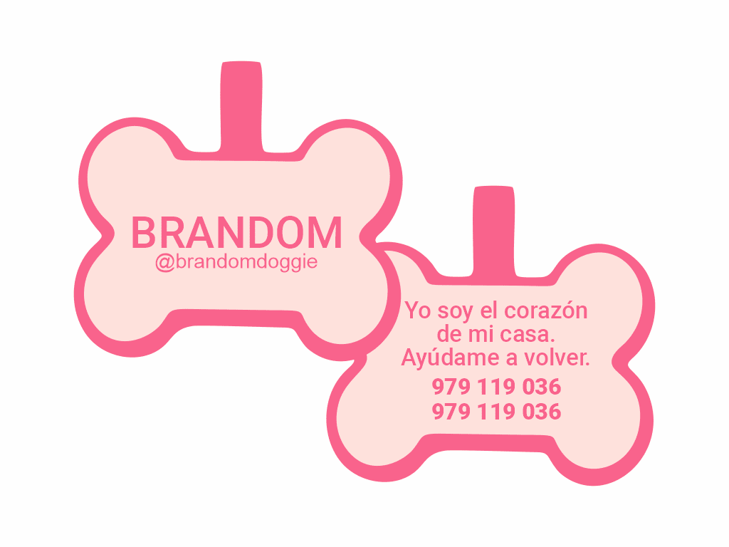 PLACA DE IDENTIFICACIÓN HUESO - SIN DISEÑO14