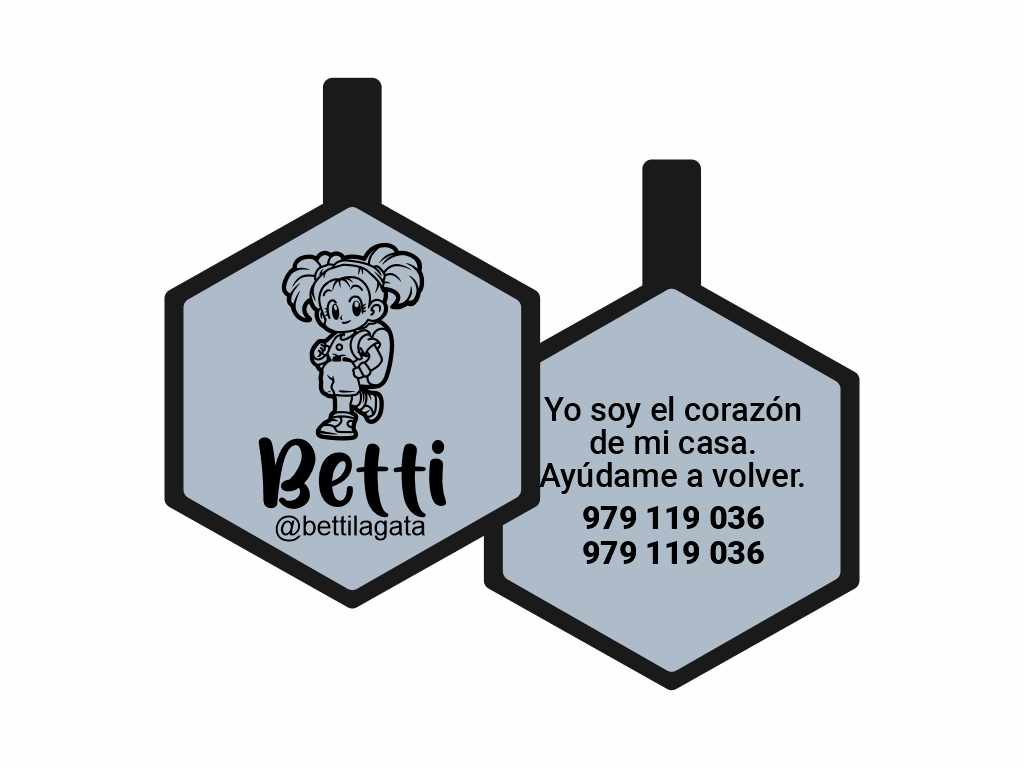 PLACA DE IDENTIFICACIÓN HEXÁGONO - BULMA1