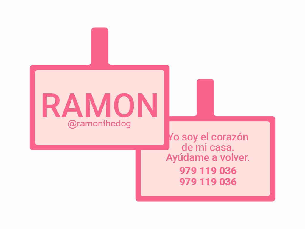 PLACA DE IDENTIFICACIÓN RECTÁNGULO - SIN DISEÑO14