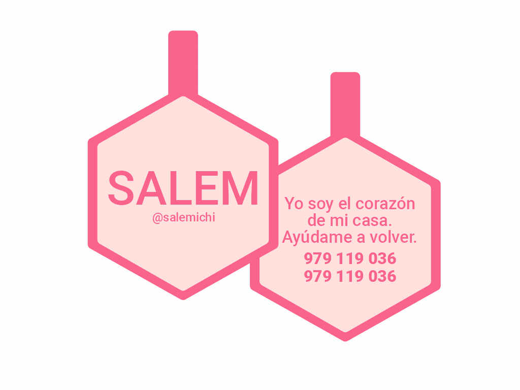 PLACA DE IDENTIFICACIÓN HEXÁGONO - SIN DISEÑO14
