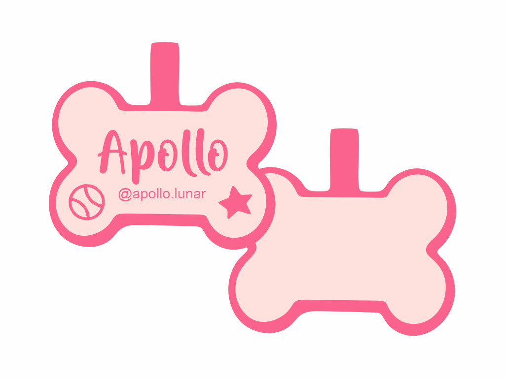 PLACA DE IDENTIFICACIÓN HUESO - ESTRELLA DE DEPORTE14