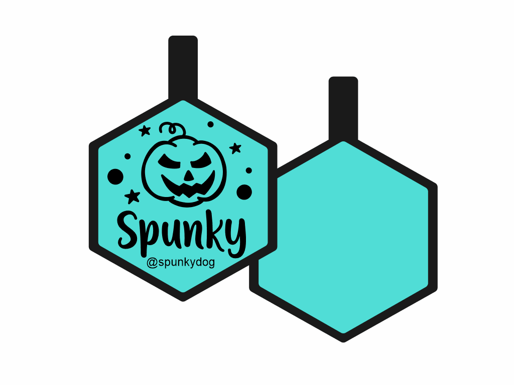 PLACA DE IDENTIFICACIÓN HALLOWEEN HEXÁGONO - CALABAZA4