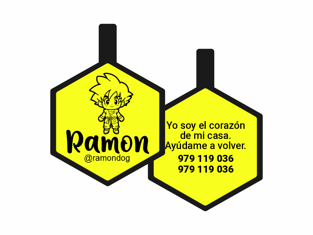 PLACA DE IDENTIFICACIÓN HEXÁGONO - GOKU1