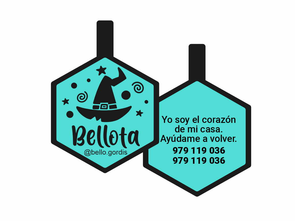 PLACA DE IDENTIFICACIÓN HALLOWEEN HEXÁGONO - WITCH1