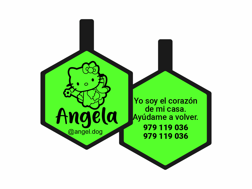 PLACA DE IDENTIFICACIÓN HEXÁGONO - FAIRY HELLO KITTY1
