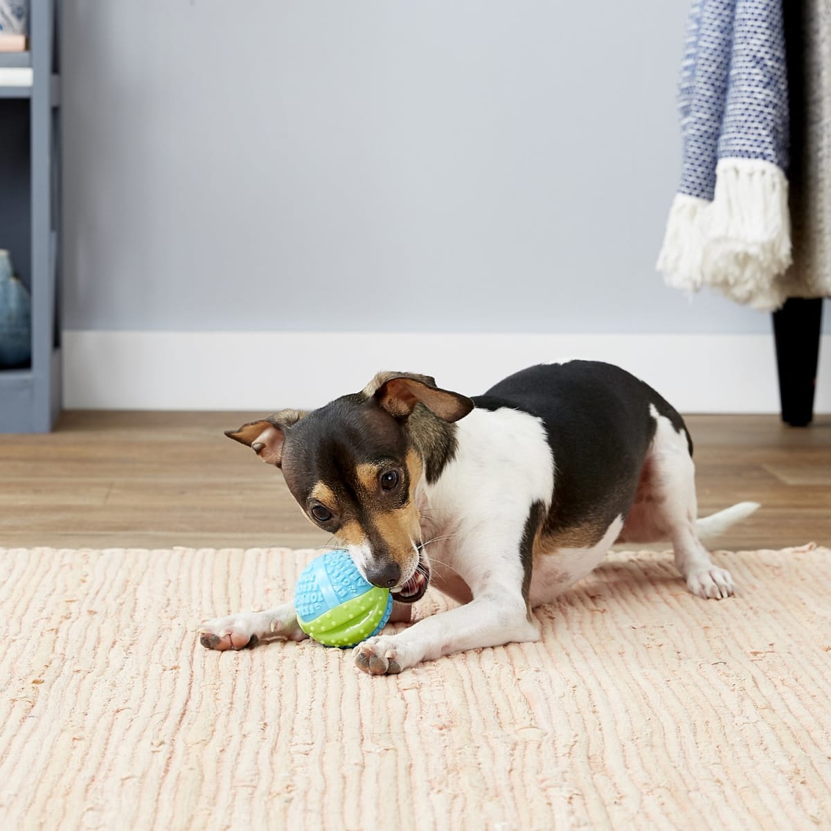 KONG CoreStrength Ball3