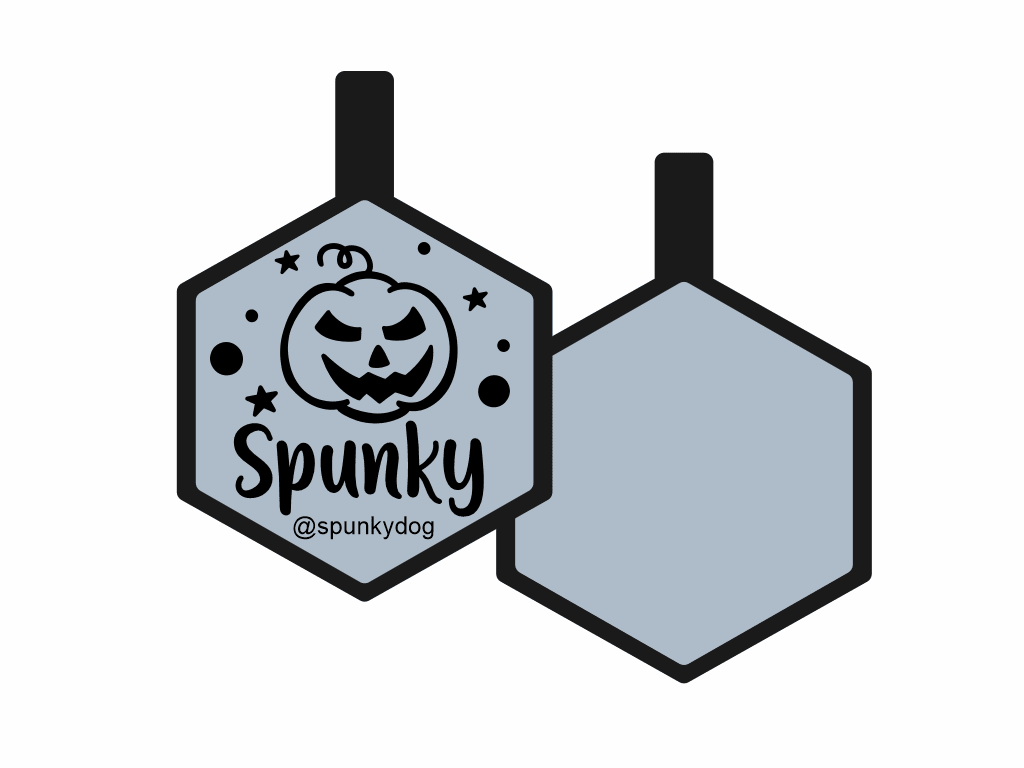 PLACA DE IDENTIFICACIÓN HALLOWEEN HEXÁGONO - CALABAZA5
