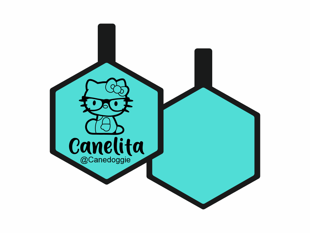 PLACA DE IDENTIFICACIÓN HEXÁGONO - DOCTOR HELLO KITTY4