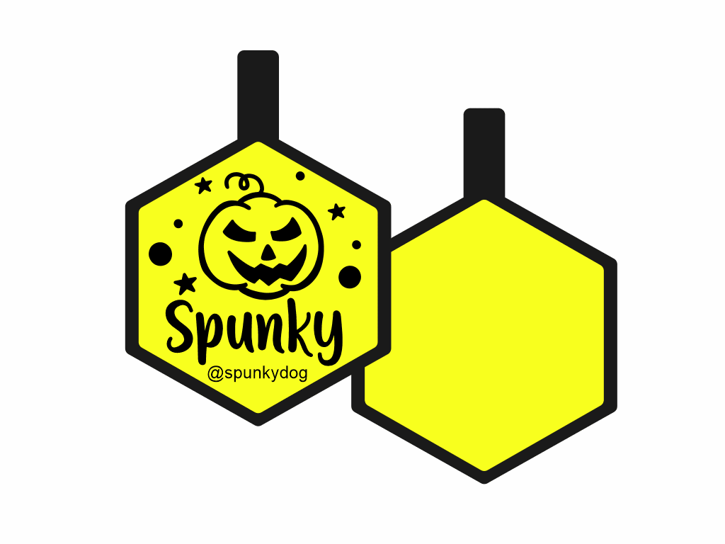 PLACA DE IDENTIFICACIÓN HALLOWEEN HEXÁGONO - CALABAZA6