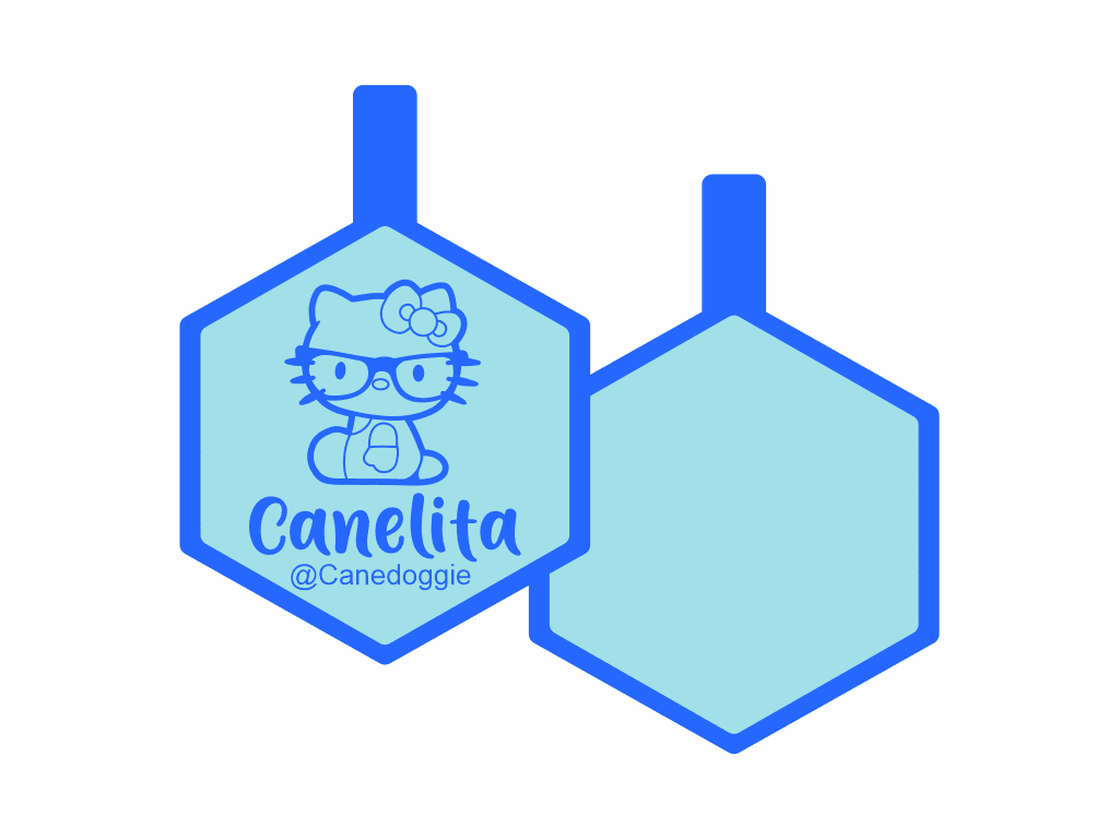 PLACA DE IDENTIFICACIÓN HEXÁGONO - DOCTOR HELLO KITTY14