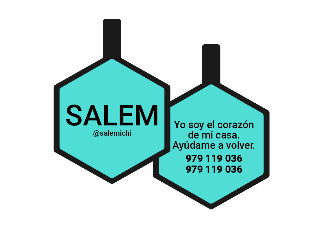PLACA DE IDENTIFICACIÓN HEXÁGONO - SIN DISEÑO4