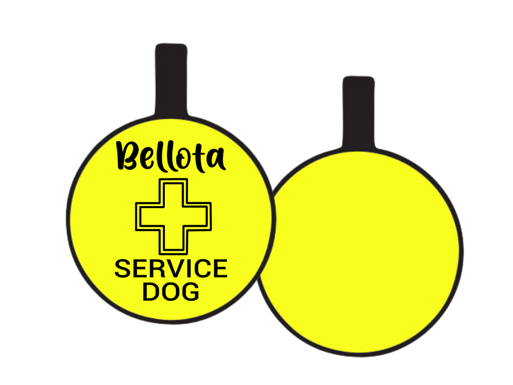 PLACA DE IDENTIFICACIÓN CIRCULO - PERRO DE SERVICIO CRUZ6