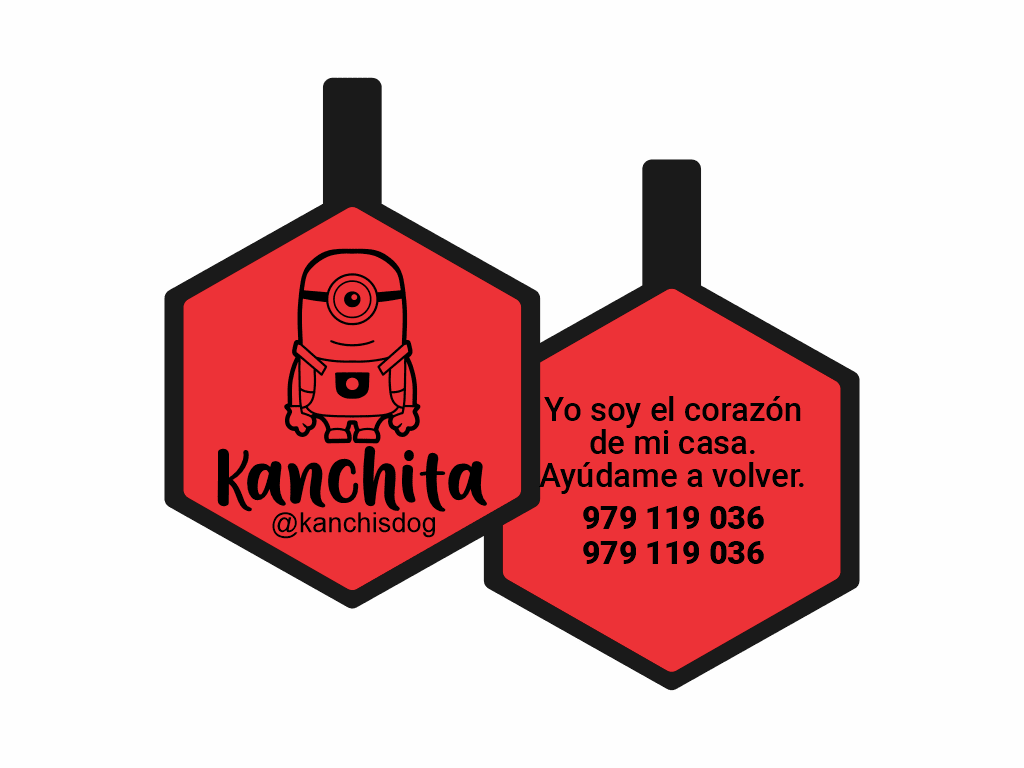 PLACA DE IDENTIFICACIÓN HEXÁGONO - MINION PHIL1