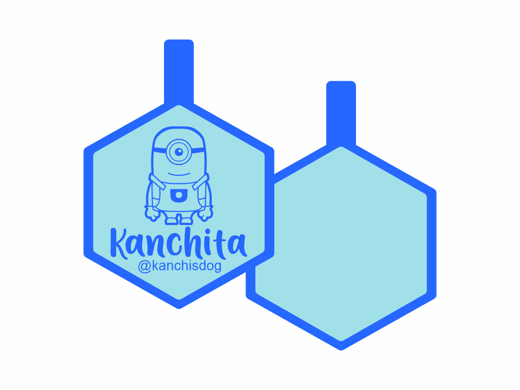 PLACA DE IDENTIFICACIÓN HEXÁGONO - MINION PHIL14