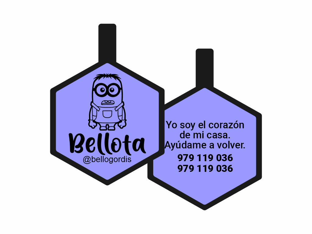 PLACA DE IDENTIFICACIÓN HEXÁGONO - CARL1