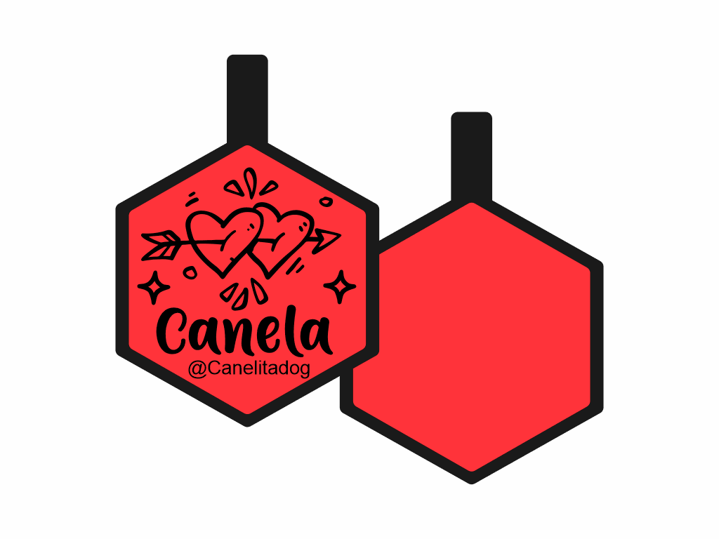 PLACA DE IDENTIFICACIÓN HEXÁGONO - FLECHADOS11