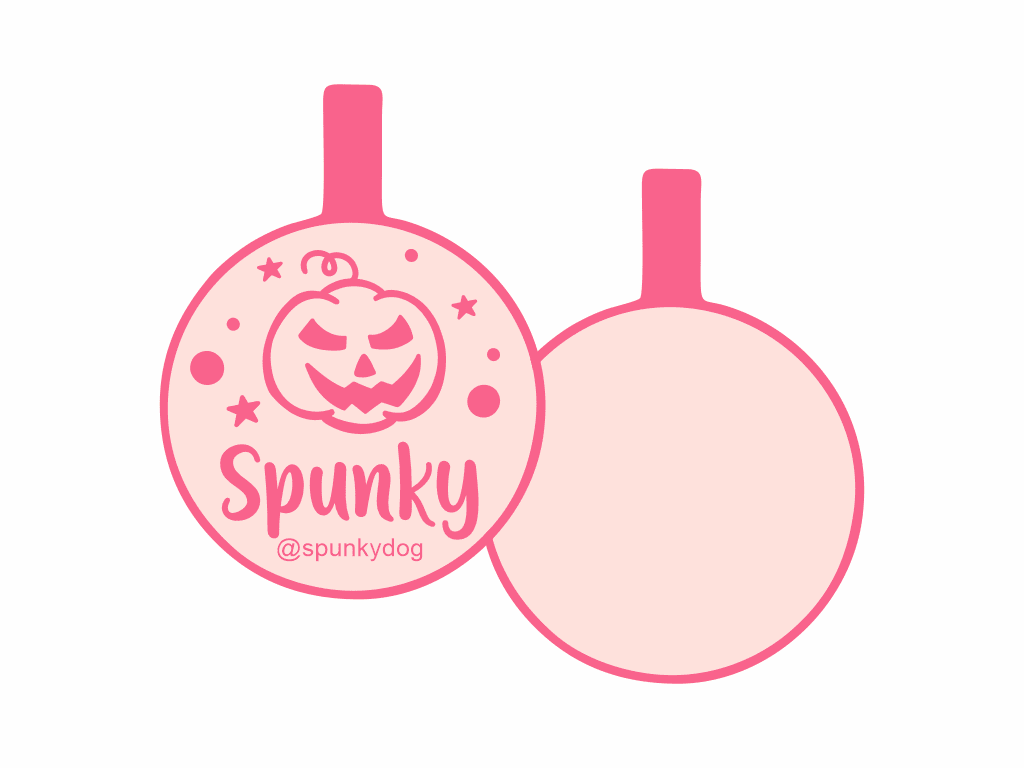 PLACA DE IDENTIFICACIÓN HALLOWEEN CÍRCULO - CALABAZA14