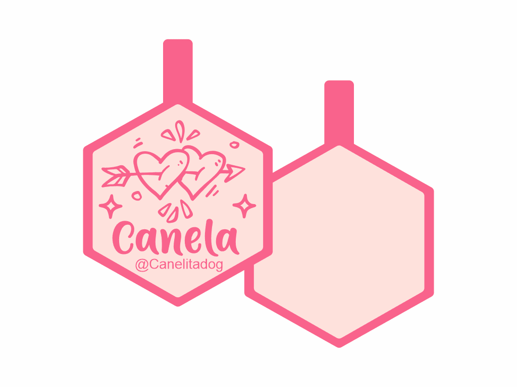 PLACA DE IDENTIFICACIÓN HEXÁGONO - FLECHADOS13