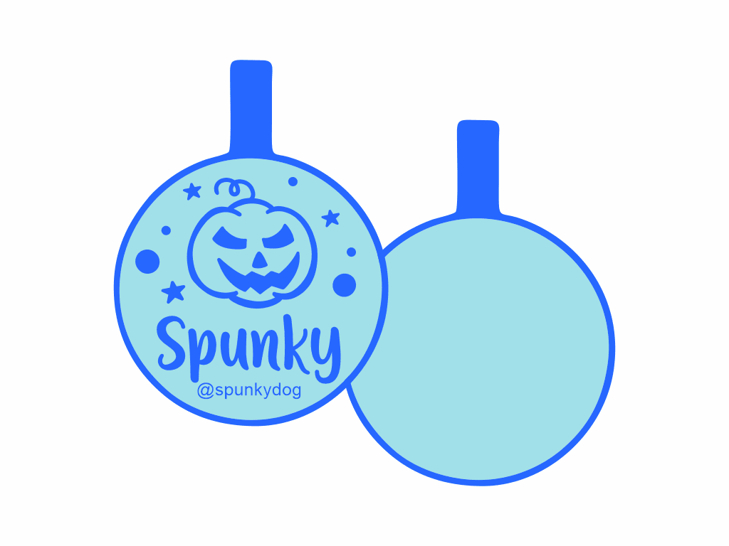 PLACA DE IDENTIFICACIÓN HALLOWEEN CÍRCULO - CALABAZA13