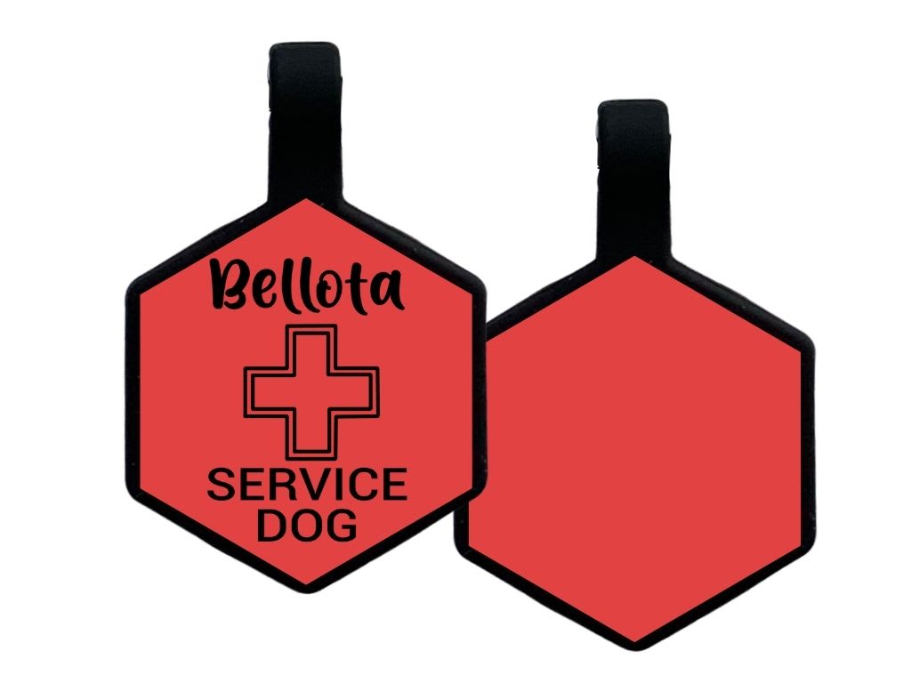 PLACA DE IDENTIFICACIÓN HEXÁGONO - PERRO DE SERVICIO CRUZ11