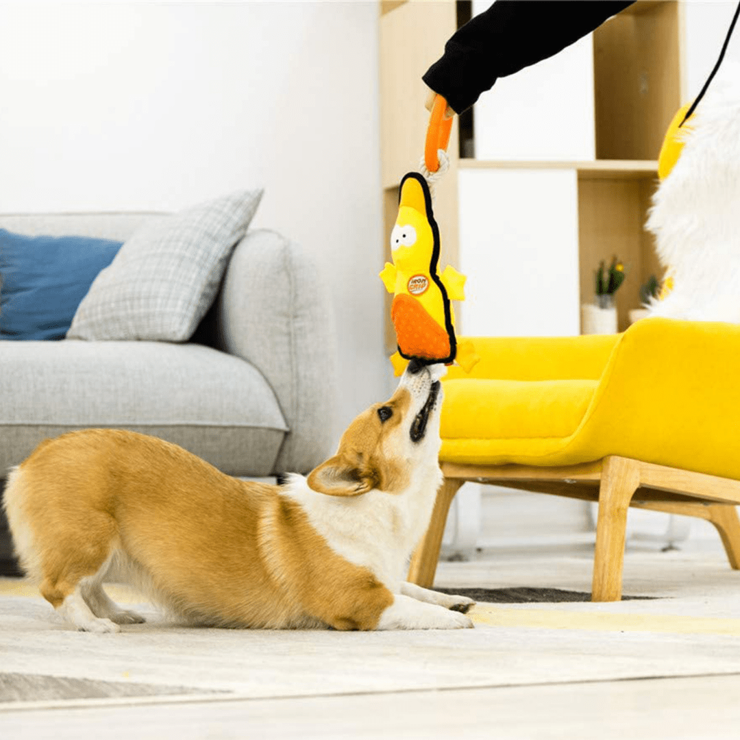 IRON GRIP PATO - Juguete jalador con mango de TPR2