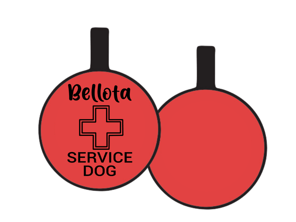 PLACA DE IDENTIFICACIÓN CIRCULO - PERRO DE SERVICIO CRUZ11