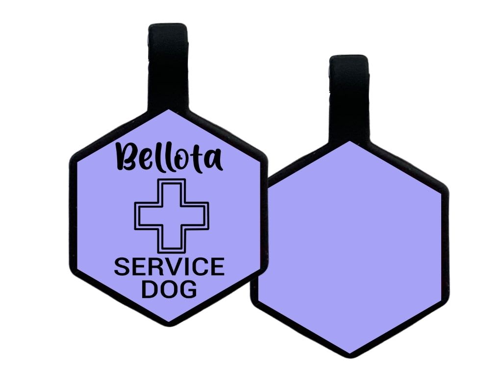 PLACA DE IDENTIFICACIÓN HEXÁGONO - PERRO DE SERVICIO CRUZ12