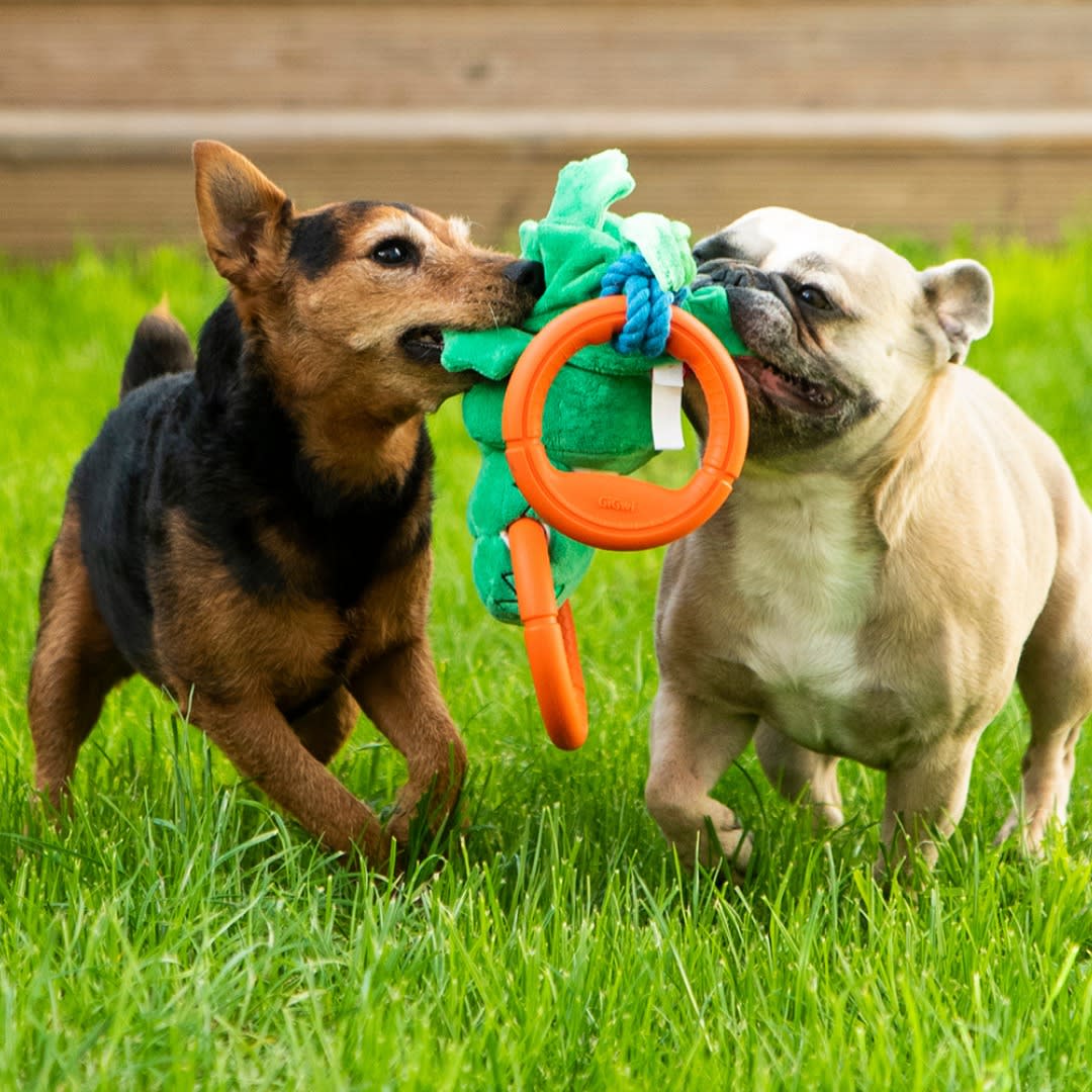 IRON GRIP COCODRILO - Juguete jalador con 2 magos de TPR2