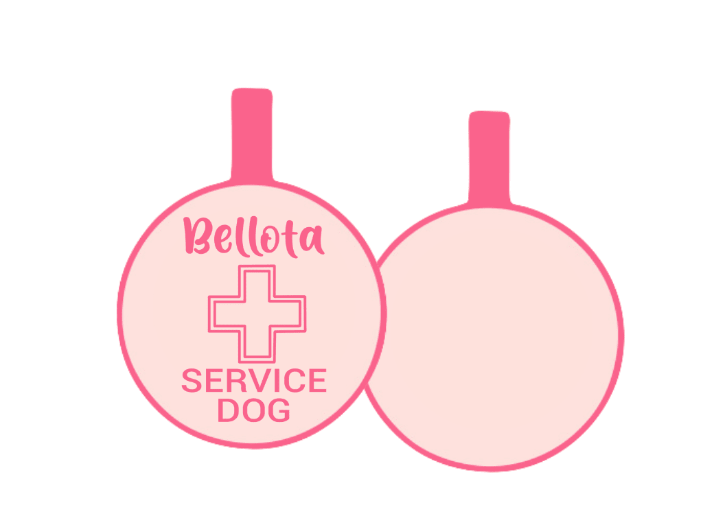 PLACA DE IDENTIFICACIÓN CIRCULO - PERRO DE SERVICIO CRUZ14